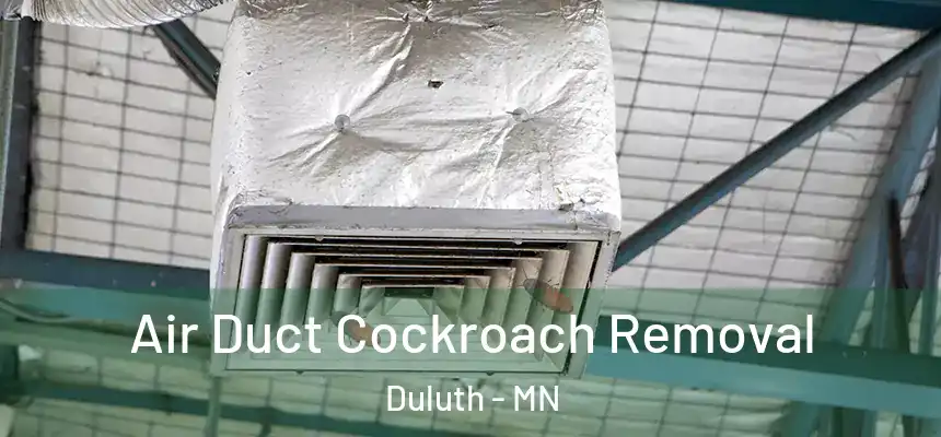 Air Duct Cockroach Removal Duluth - MN