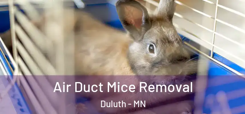Air Duct Mice Removal Duluth - MN