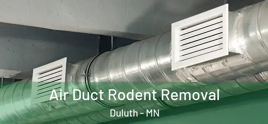 Air Duct Rodent Removal Duluth - MN