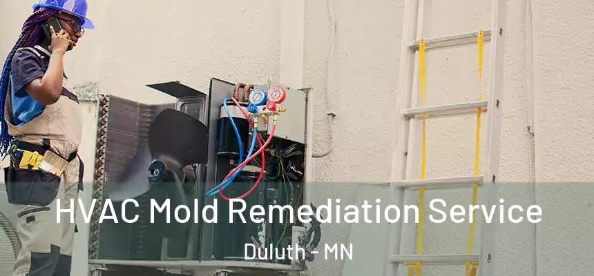HVAC Mold Remediation Service Duluth - MN