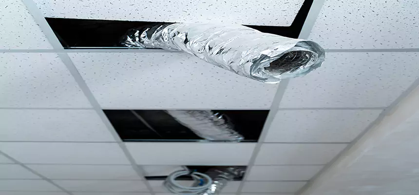 Affordable HVAC Sanitizing After Pest Removal in Duluth