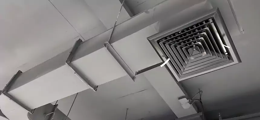 Restorative Allergy Relief Vent Cleaning – Coil, Blower & Housing Detail in Duluth