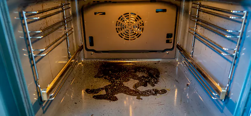 Our Dryer Vent Mold Cleaning Services in Duluth, MN