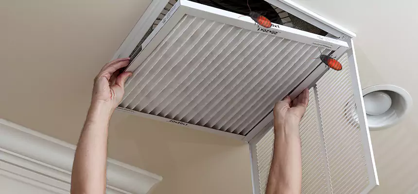 Our Insect Removal from Air Ducts Services in Duluth, MN