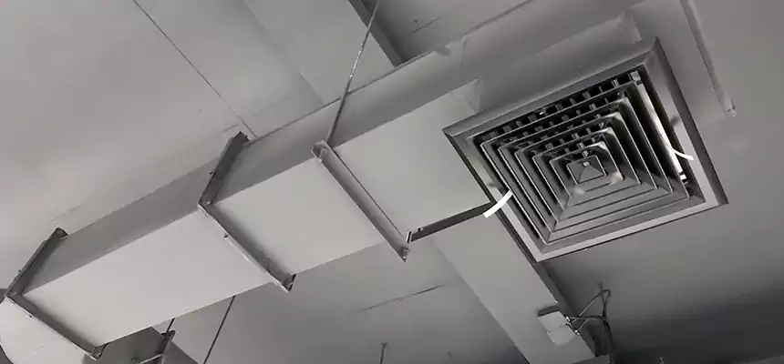 Our Pest Removal From Ducts Services in Duluth, MN