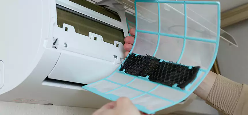 Gentle Ductwork Odor-Control Pet Dander Duct Cleaning in Duluth, MN