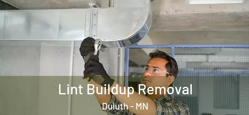 Lint Buildup Removal Duluth - MN