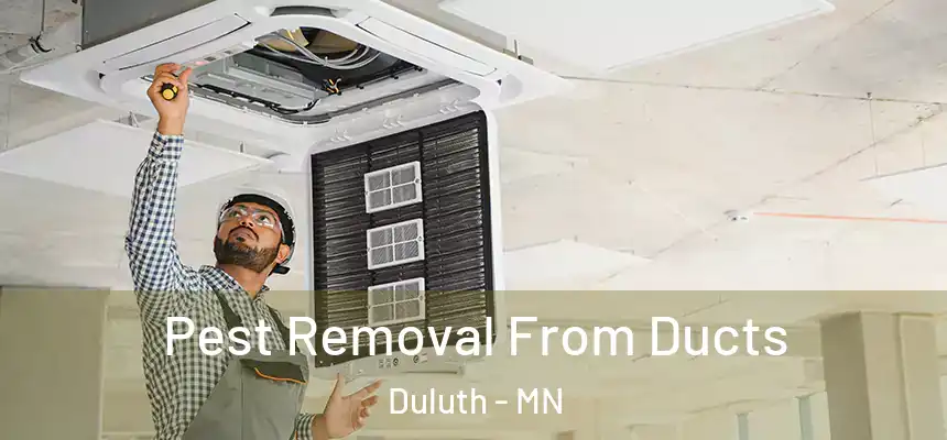Pest Removal From Ducts Duluth - MN