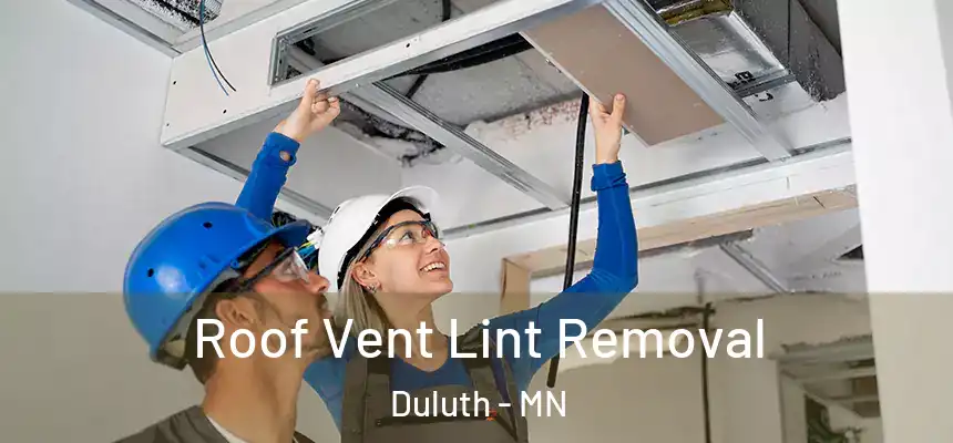 Roof Vent Lint Removal Duluth - MN