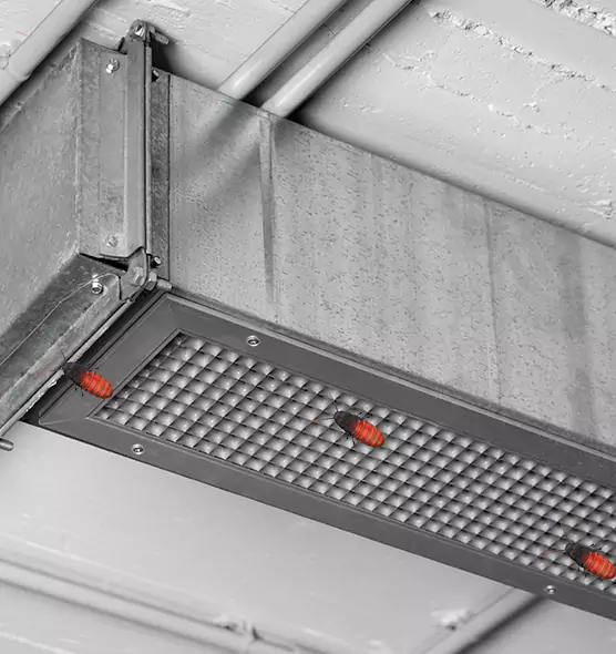 About Air Duct Cockroach Removal in Duluth, MN