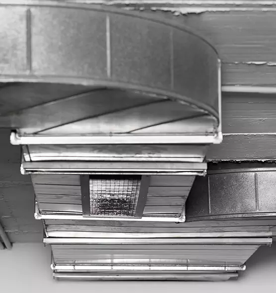 Professional Air Duct Pest Removal in Duluth, MN