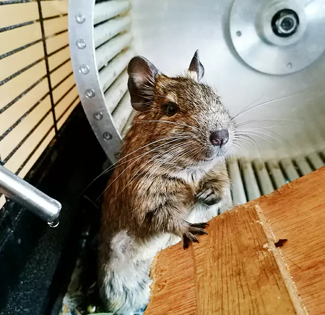 Why Homeowners & Businesses Trust Us Duluth, MN